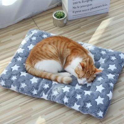 Tapis chat | Confort Design - chat douillet
