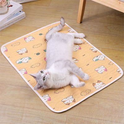 Tapis rafraichissant Chat | CoolComfort - chat douillet