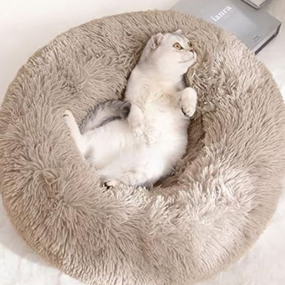 Coussin Chat | Premium Douillets France - chat douillet