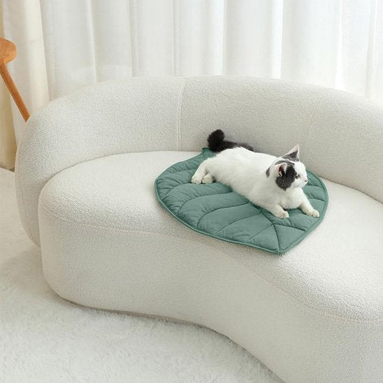 Coussin Chat | Ultra - Doux - chat douillet
