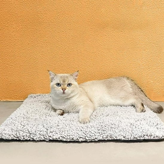 Coussin Chat | Ultra - Moelleux - chat douillet