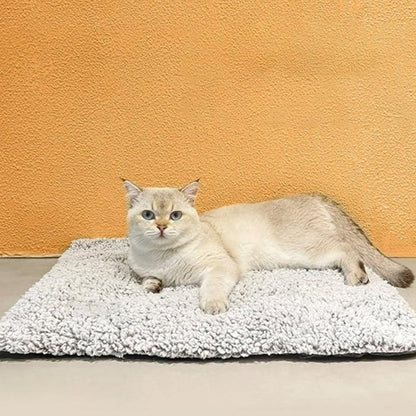 Coussin Chat | Ultra - Moelleux - chat douillet