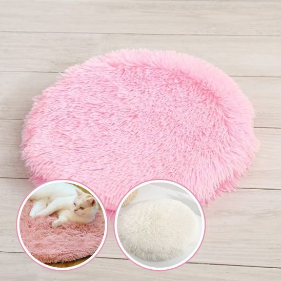 Coussin chat | Royal Comfort - chat douillet