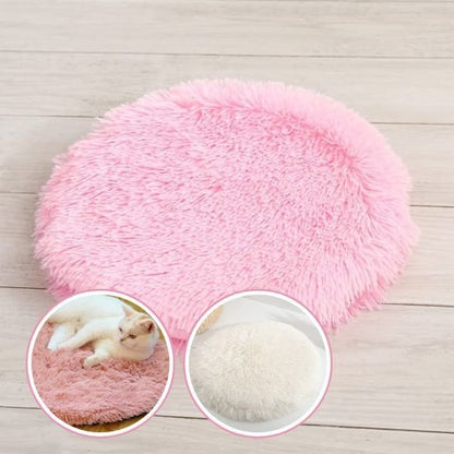 Coussin chat | Royal Comfort - chat douillet