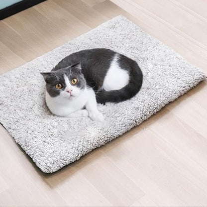 Coussin Chat | Ultra - Moelleux - chat douillet