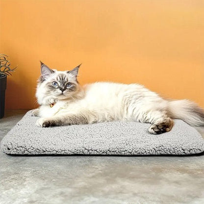 Coussin Chat | Ultra - Moelleux - chat douillet