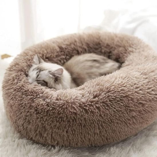 Coussin Chat | Premium Douillets France - chat douillet