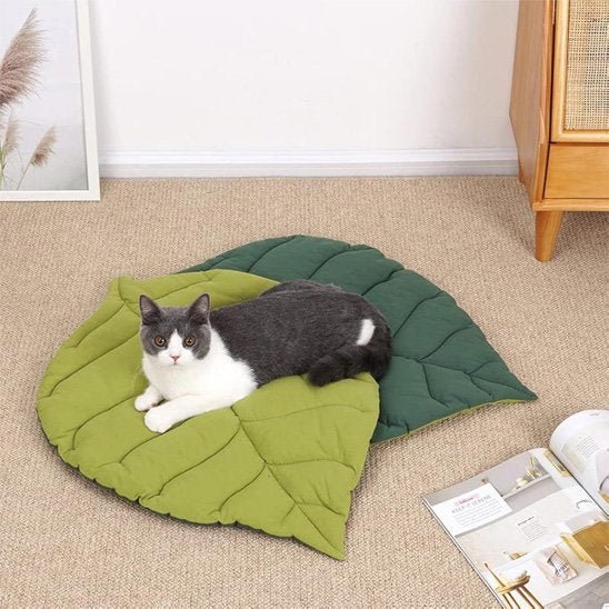 Coussin Chat | Ultra - Doux - chat douillet