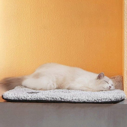 Coussin Chat | Ultra - Moelleux - chat douillet
