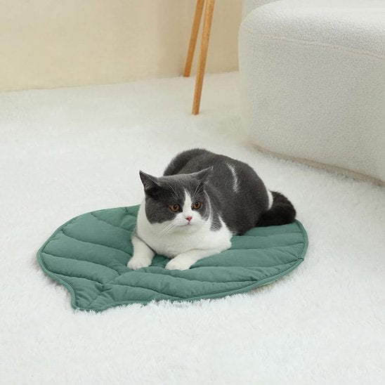 Coussin Chat | Ultra - Doux - chat douillet