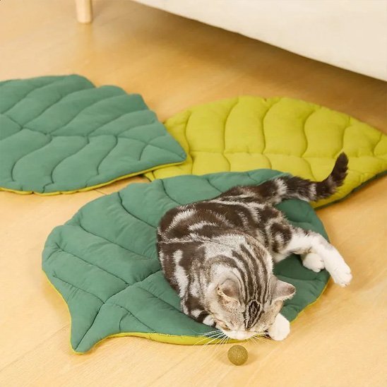 Coussin Chat | Ultra - Doux - chat douillet