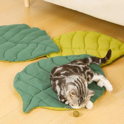 Coussin Chat | Ultra - Doux - chat douillet