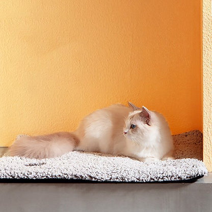 Coussin Chat | Ultra - Moelleux - chat douillet