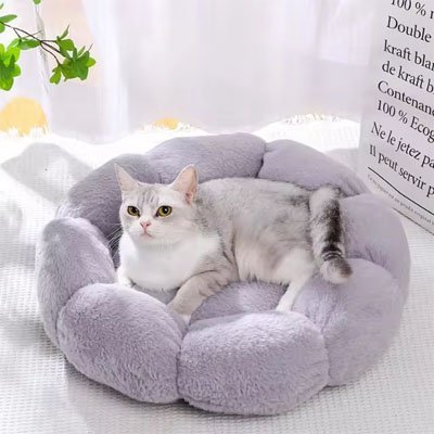 Coussin pour chat | DodoFélin - chat douillet