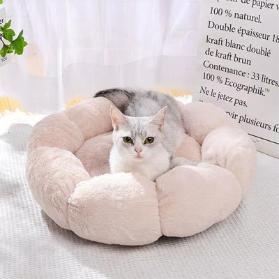 Coussin pour chat | DodoFélin - chat douillet