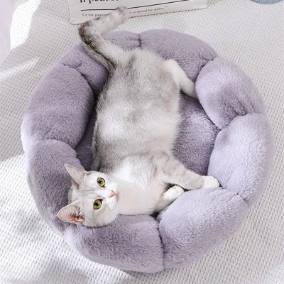 Coussin pour chat | DodoFélin - chat douillet