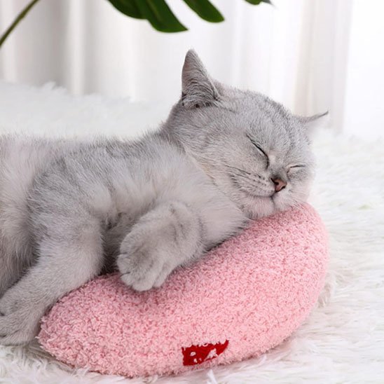 coussin pour chat