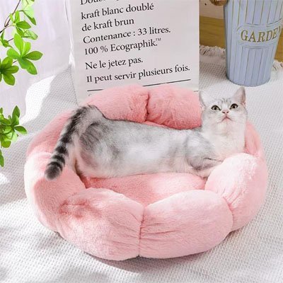 Coussin pour chat | DodoFélin - chat douillet