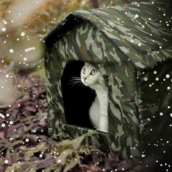 Niche exterieur pour chat