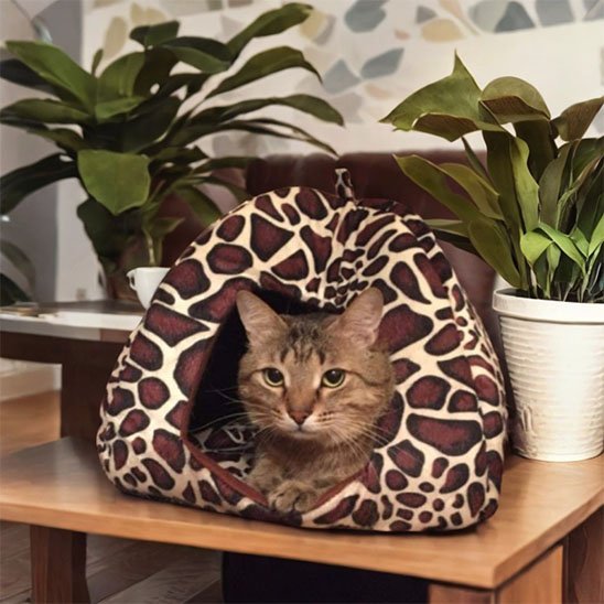 Niche pour chat | Cosy Design - chat douillet