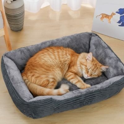 Panier chat | Élégance Douillette - chat douillet