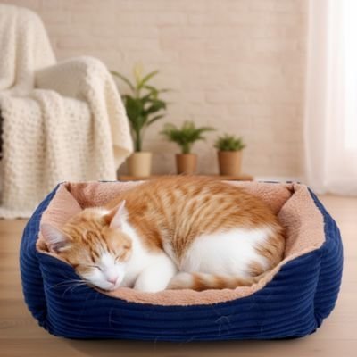Panier chat | Ultra - confortable - chat douillet