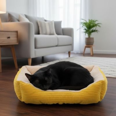 Panier chat | Ultra - confortable - chat douillet
