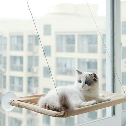 Hamac pour chat | UltraConfort - chat douillet