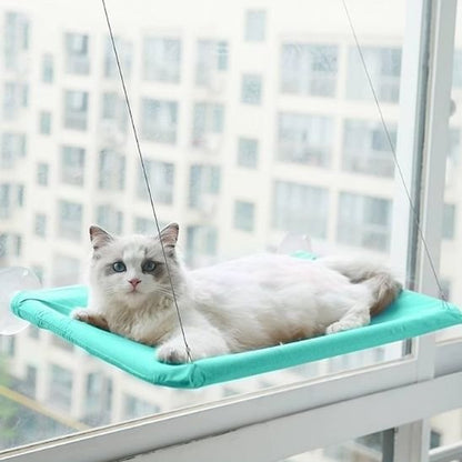 Hamac pour chat | UltraConfort - chat douillet