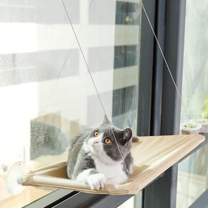 Hamac pour chat | UltraConfort - chat douillet