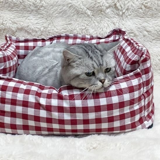 Panier pour chat | Cocon Douillet - chat douillet