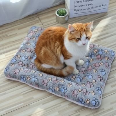 Tapis chat | Confort Design - chat douillet