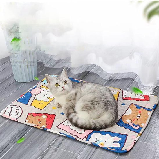 Tapis Chat