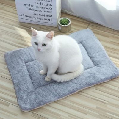 Tapis chat | Confort Design - chat douillet