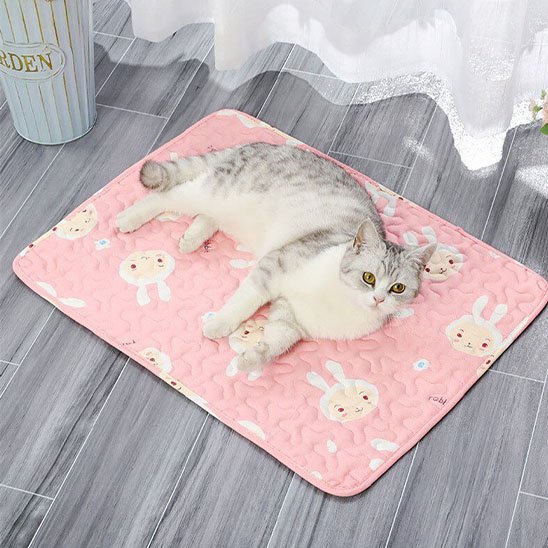 Tapis Chat