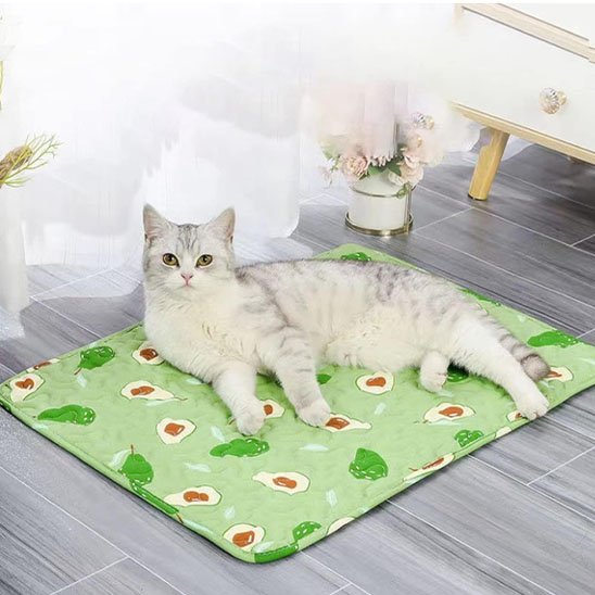 Tapis Chat