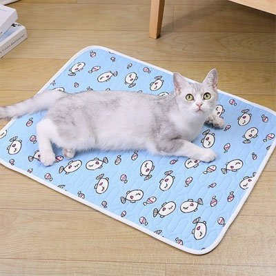 Tapis rafraichissant Chat | CoolComfort - chat douillet