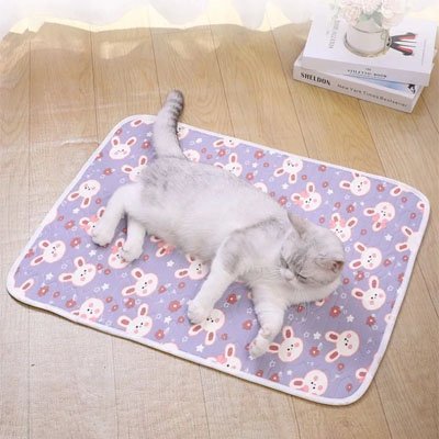 Tapis rafraichissant Chat | CoolComfort - chat douillet