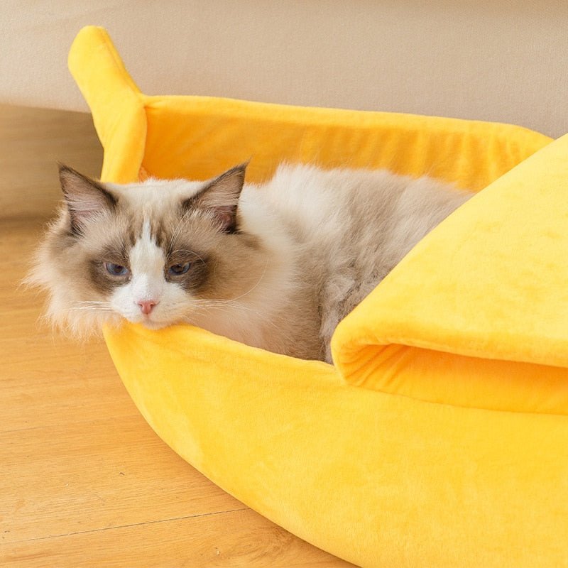 BANANACHAT™ | Niche Banane pour chat | - chat douillet