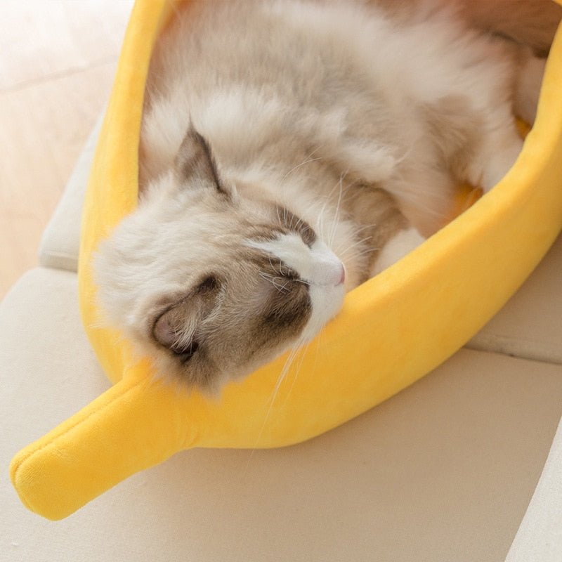 BANANACHAT™ | Niche Banane pour chat | - chat douillet